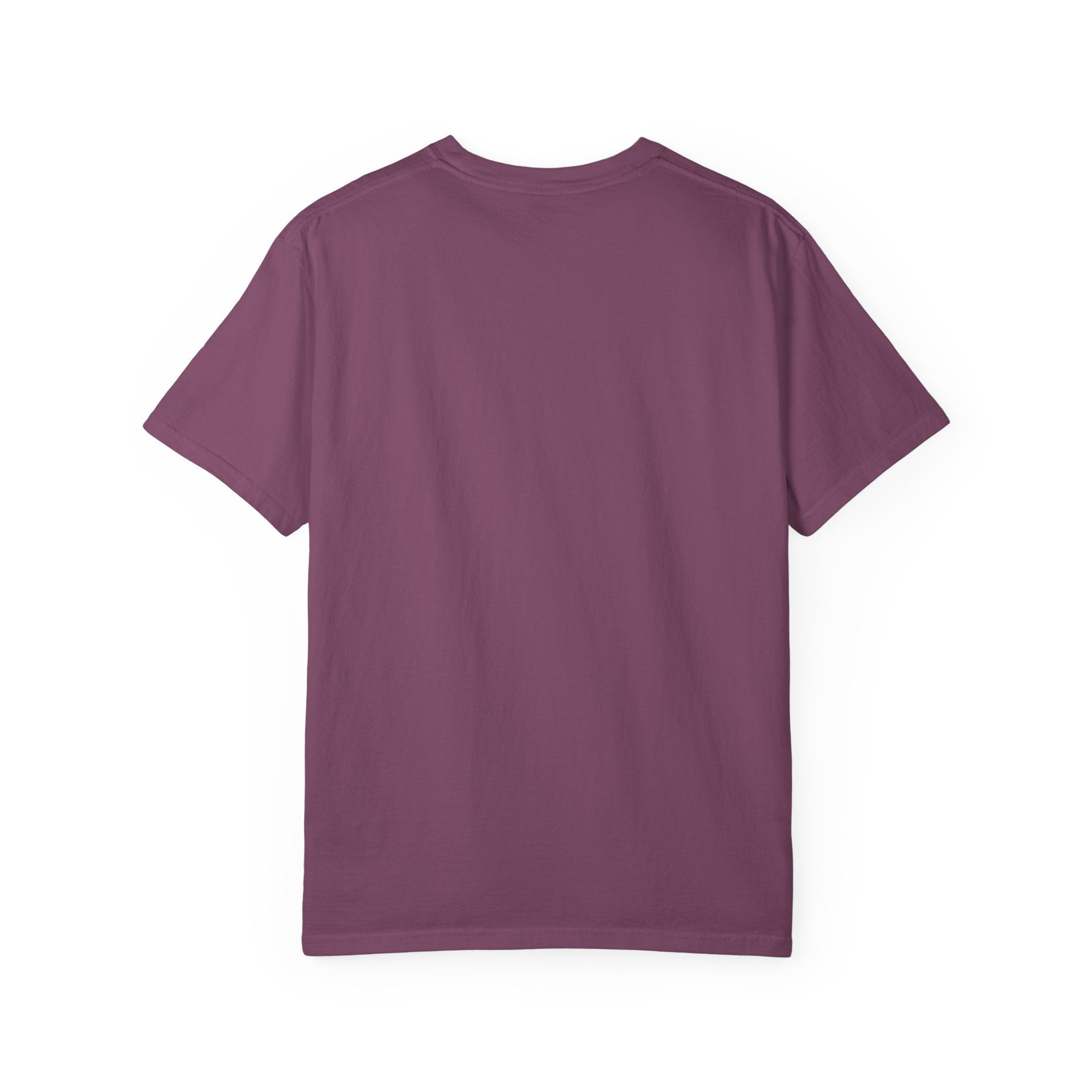Flock Around and Find Out T-Shirt