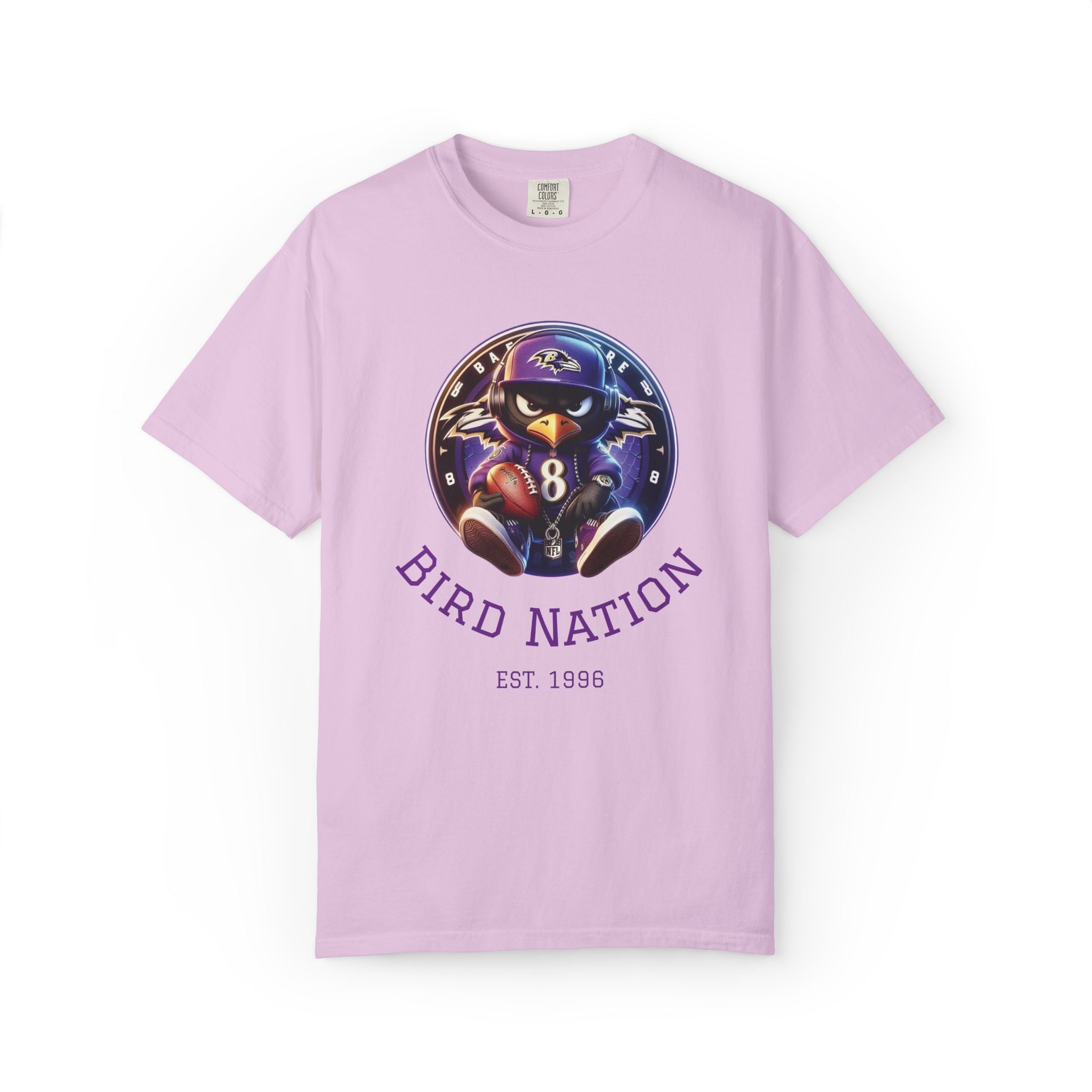 Bird Nation Tee — Vintage Sports Mascot Graphic T-Shirt