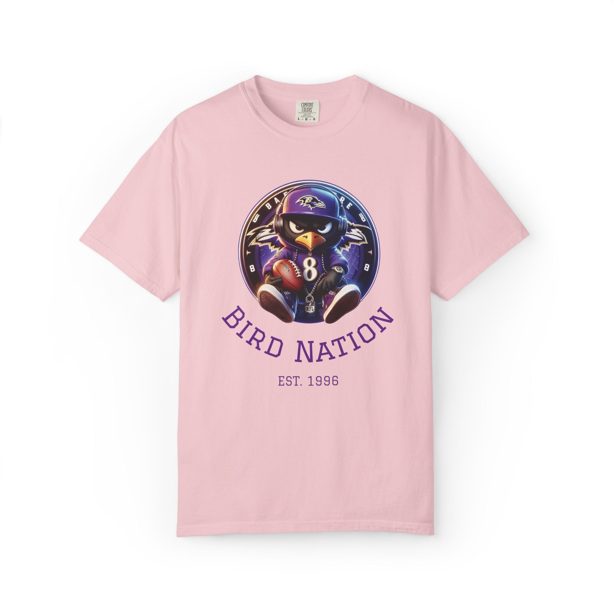 Bird Nation Tee — Vintage Sports Mascot Graphic T-Shirt