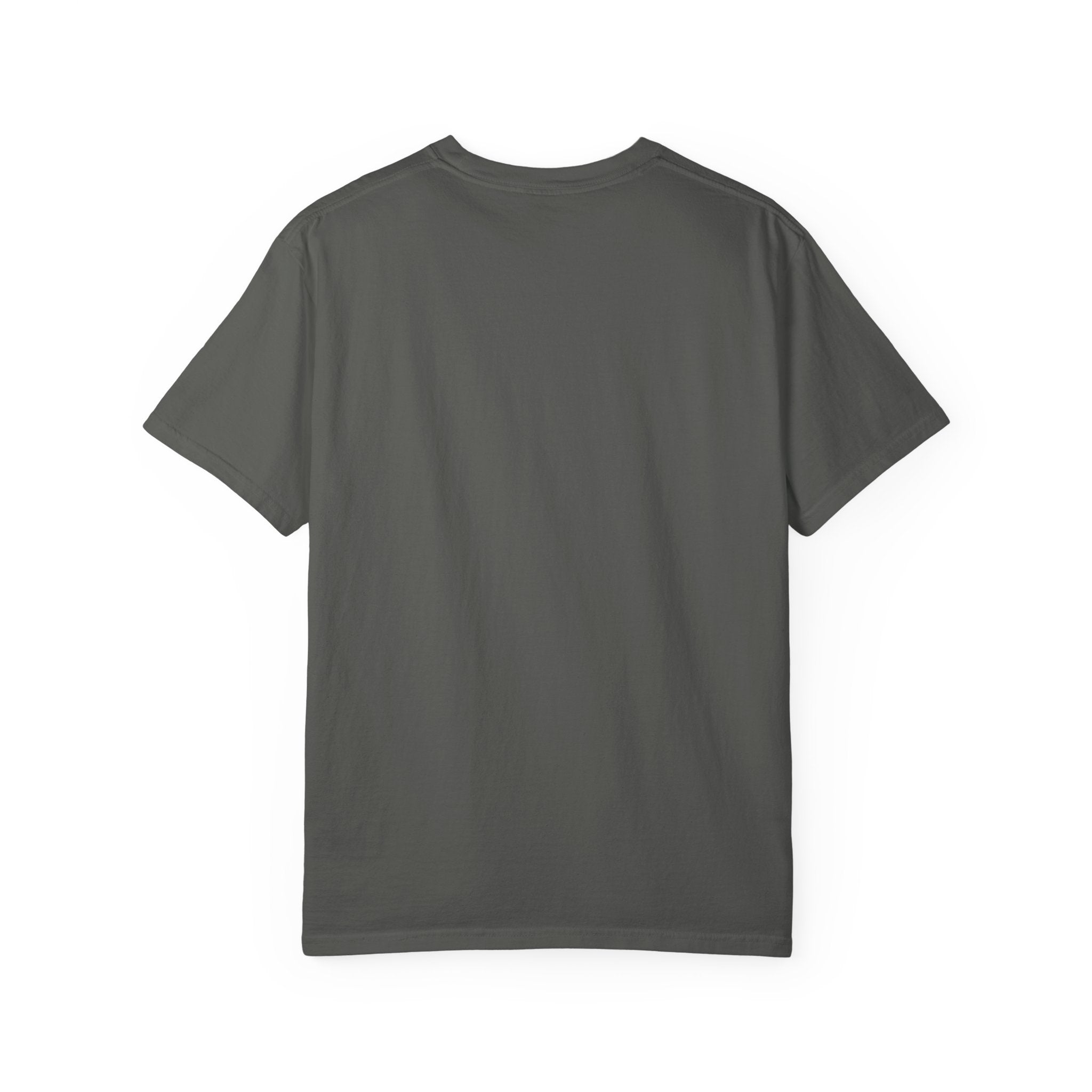 Flock Around and Find Out T-Shirt