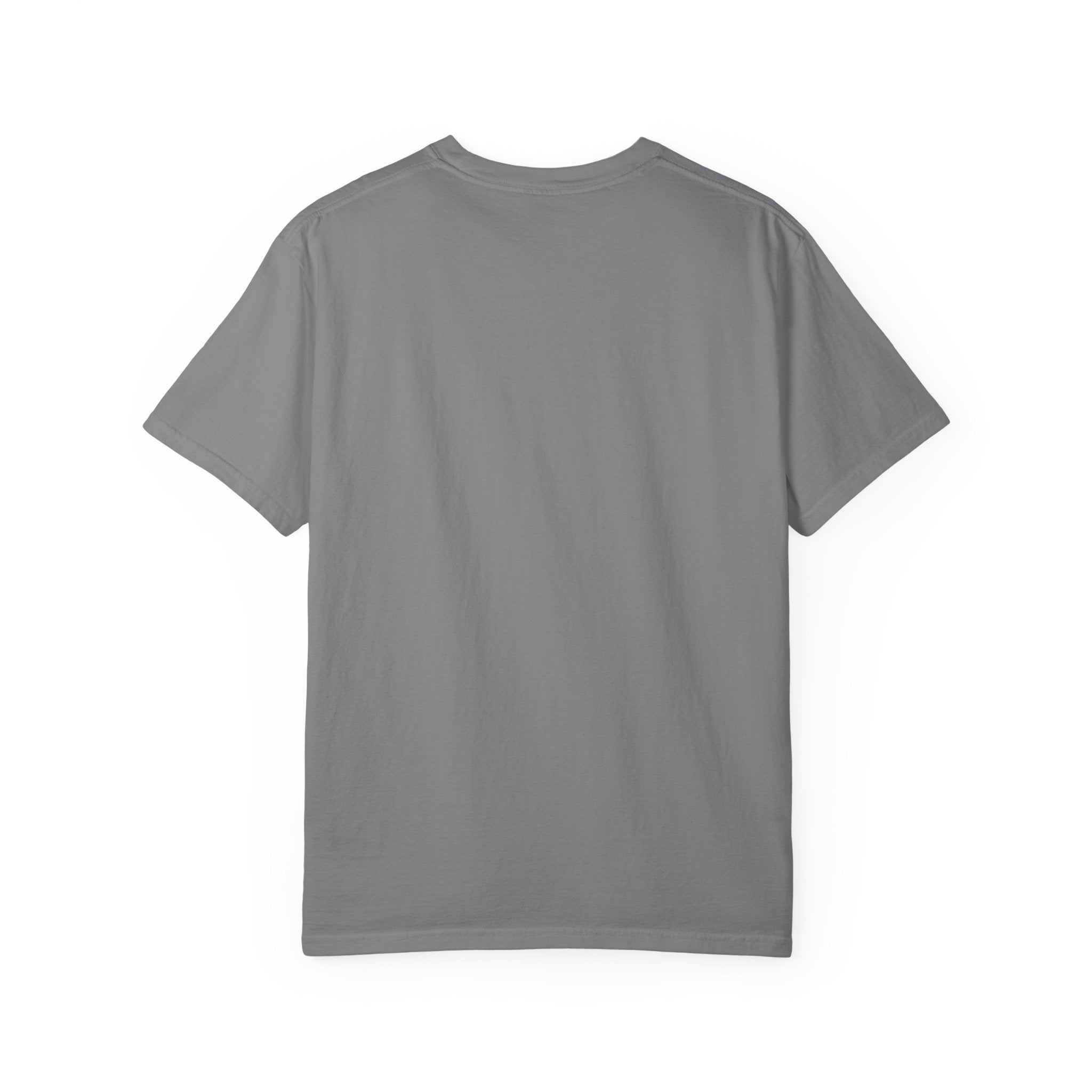 Flock Around and Find Out T-Shirt